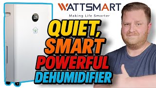 WATTSMART 6,500 Sq Ft Smart Whole Home Dehumidifier: Quietest Ever?!