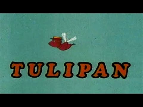 KaRRamBa - TULIPAN (SOUNDTRACK DO REMAKE'U POLSKIEGO SERIALU) [OFFICIAL AUDIO]