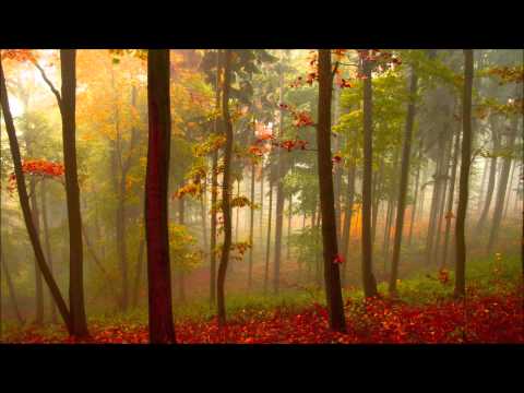 Paul Tarrant vs. Christian Zechner Ft. Lira Yin - Starclad Serenade (NaVe Mashup)