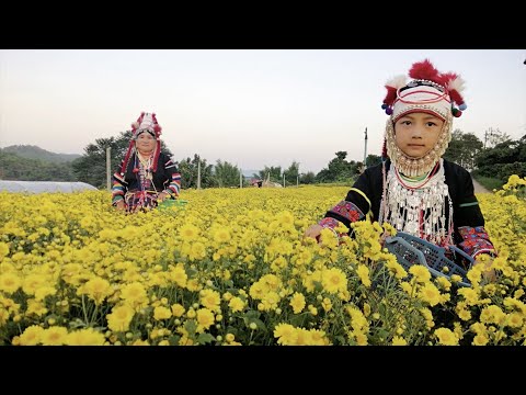 ศูนย์พัฒนาโครงการหลวงสะโง๊ะ