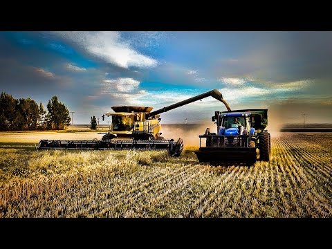 Epic Harvesting Montana Style - Part 2 - Grubb Harvest - Welker Farms Inc