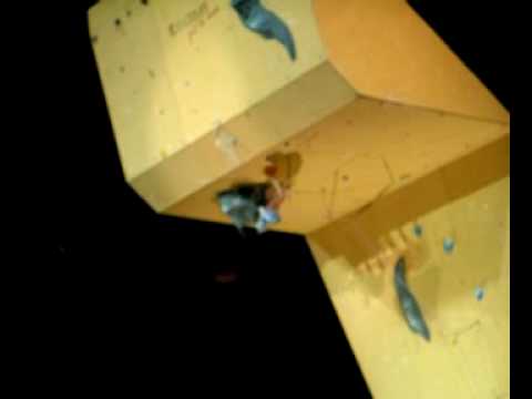 European Climbing Championship of Bercy 2008