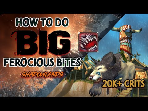 How to do BIG Ferocious Bites | Shadowlands | Feral Druid One Shot