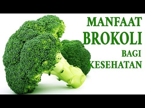 , title : 'Manfaat Brokoli bagi Kesehatan salah satunya Baik untuk Diet'