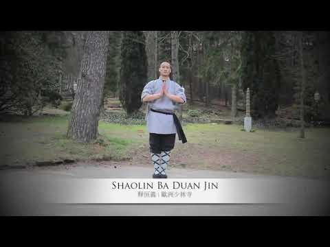 Qi Gong Shaolin Ba Duan Jin [Exercício de 8 Brocados] Shi Heng Yi