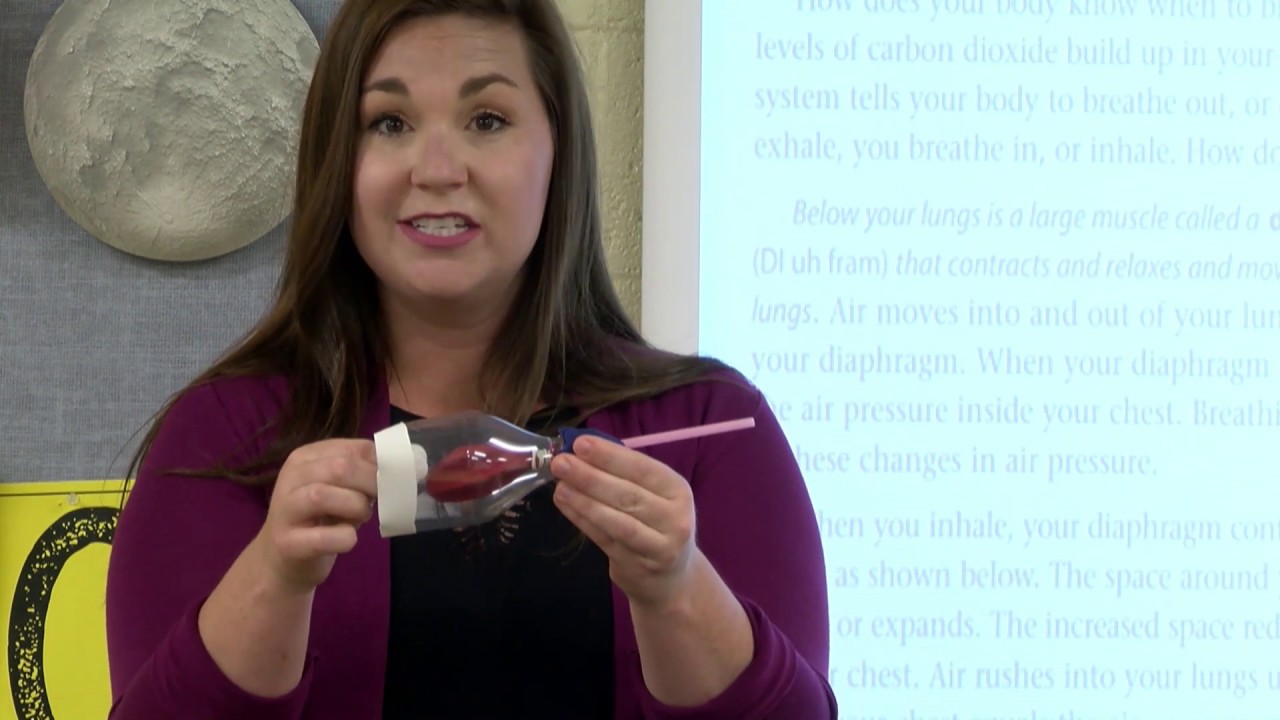 7th Grade Science 052020