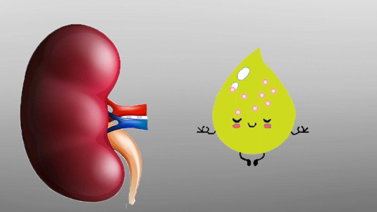 Osmolaridad y Mecanismo de Contracorriente