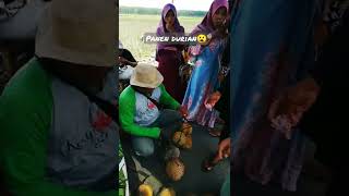 Download lagu Panen durian asli kediri | Gunung Kelud Kediri Jawa Timur mp3