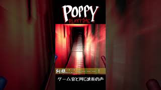 奇跡が起きてゲーム音の悲鳴が自分の悲鳴みたいになっててワロタｗｗｗ #ゲーム実況