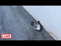 A Cat Got Hit By A Car Takis Shelter