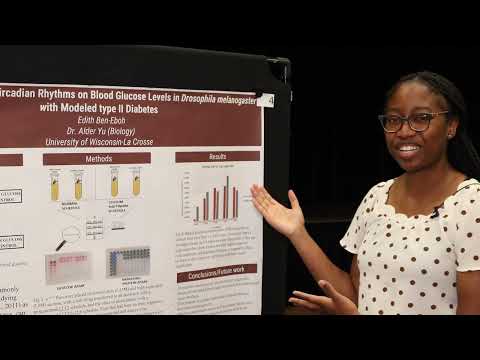 Edith Ben-Eboh:Impact of disrupted circadian rhythms on blood glucose levels in Drosophila melanogas