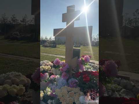 Солнышко освещает могилу Анастасии Заворотнюк / я Троекуровское кладбище 19 октября 2024