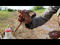 Amazing Technology | Coca Cola and Mentos Catch a lot Eels In Underground Hole