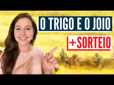 HOW WAS LIFE IN JESUS' TIMES? (English subtitles)