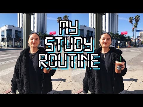 my study routine | how to get motivated to study and stay motivated for the semester