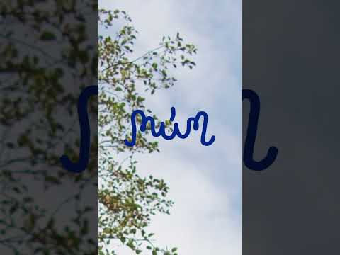 múm: Kill the Light