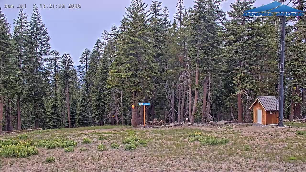 Live webcam view of Dodge Ridge Summit Panorama