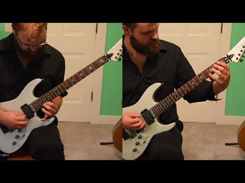 Rogers - Protest The Hero - Divinity Within - (Dual Guitar Cover)