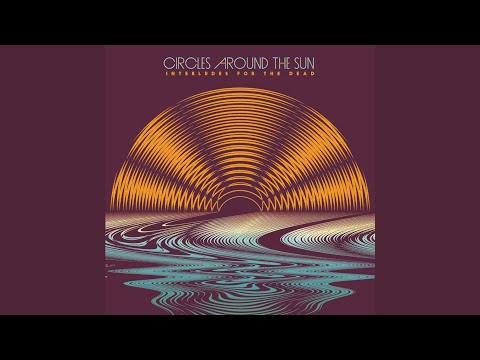 Hallucinate a Solution (feat. Neal Casal)