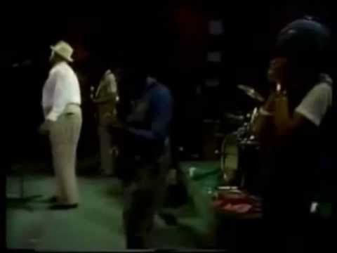 Willie Dixon Blues Band (Sugar Blue Harmonica ) - Wang Dang Doodle & I Got My Mojo Working (Live)