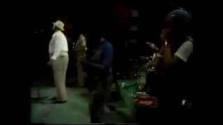 Willie Dixon Blues Band (Sugar Blue Harmonica ) - Wang Dang Doodle & I Got My Mojo Working (Live)