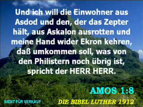 Der Prophet Amos - Kapitel 1