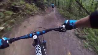 Mountain Bike Adventure: Pisgah Black Mountain Trail