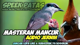 Download lagu MASTERAN MANCUR PETULAK JINGJING PRENJAK KEPALA MERAH BETINA CILILIN NGEROL PANJANG mp3