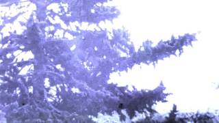 Dilated Pupils - Lighter