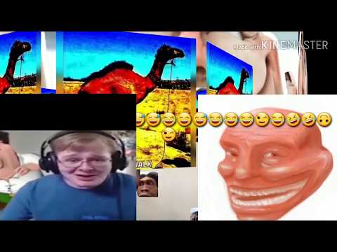 7 Minutes of r/ArabFunny