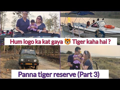 Tiger Safari (part 3) | Jungle Safari | Jeep Safari | Panna Tiger Reserve | Finally Tiger dekha ?
