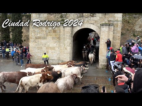 Ciudad Rodrigo 2024 Encierro a Caballo, Capea y Desencierro