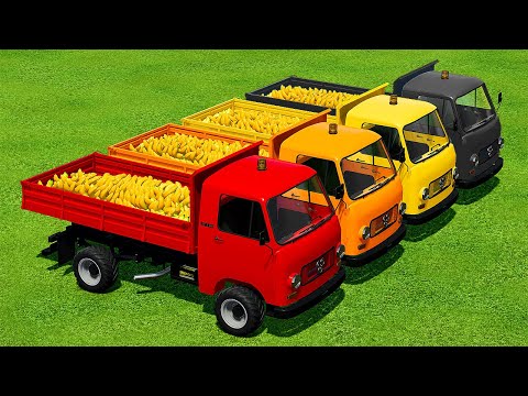 TRANSPORT & LOAD BANANAS WITH COLORED FENDT TRACTORS - Farming Simulator 22