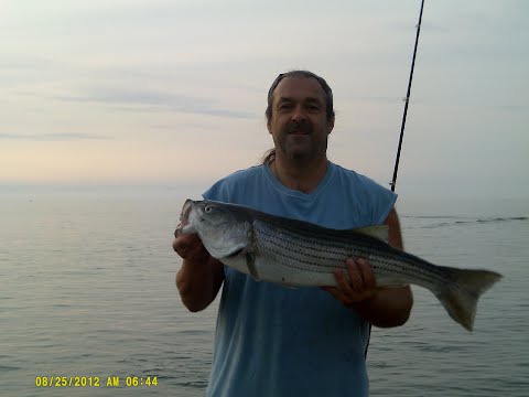 CAPE COD CANAL/STRIPAH DOUBLE/PLUS CRABBIN