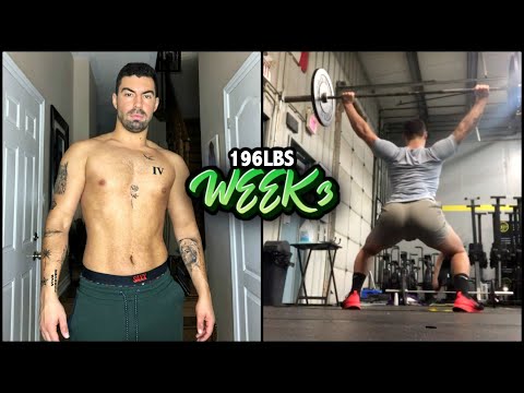 26 YR OLD SECOND STEROID CYCLE (WEEK 3 BODY UPDATE): ANAVAR IS STARTING TO WORK!