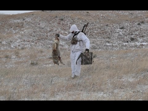Calling Late Season Coyotes by the Truckloads | S1:E2