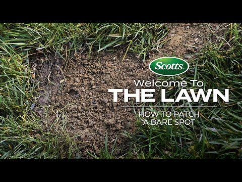 Welcome To The Lawn: How to Patch a Bare Spot