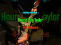 Hound Dog Taylor - 44 Blues (Intro Guitar Cover) #blues #guitar #ブルース #ギター #shorts