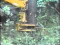 Bell Feller Buncher 