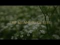 The meaning of life - Simplicity