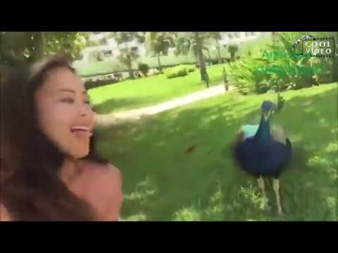 Arrab & Black 8 - Sandwaves