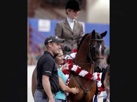 Wilson Training Center and Bloodstock Promo video