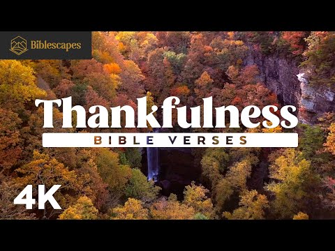 Bible Verses | Thankfulness | 4K | 15 Minutes | 75+ Scriptures | Audio Bible + Music