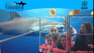 DIA 3 Expo Tiburon179