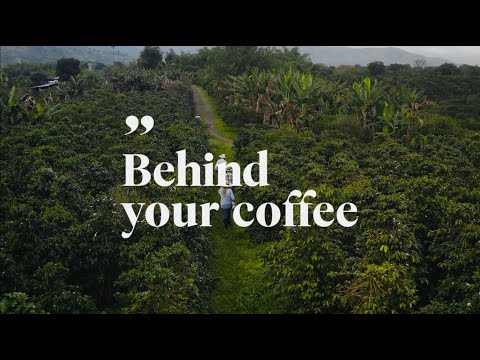 Behind Your Coffee saison 2 - De la ferme de Laura à la tasse