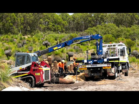 METRONET Yanchep Rail Extension - Grass Trees In Transition