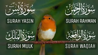 Most Beautiful Recitation of Surah Rahman | Surah Yaseen ( Yasin) | Surah Waqiah | Surah Mulk 