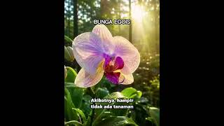 Download lagu BUNGA EGOIS mp3