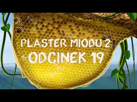 Plaster miodu 2 [#19] Moc