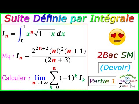 Suite Définie par Intégrale - Calcul Intégrale - 2 Bac SM - [Exercice 29]